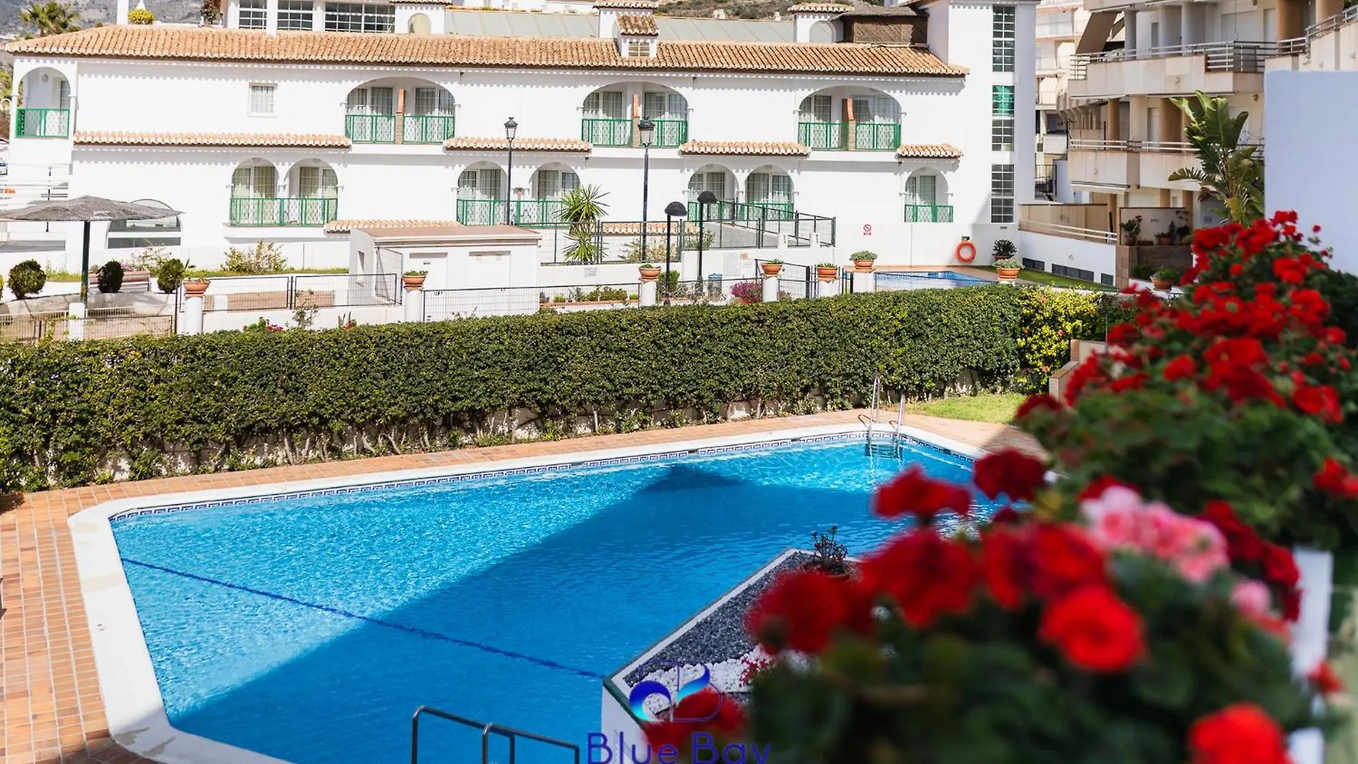 Bliss On The Bay Apartment La Herradura